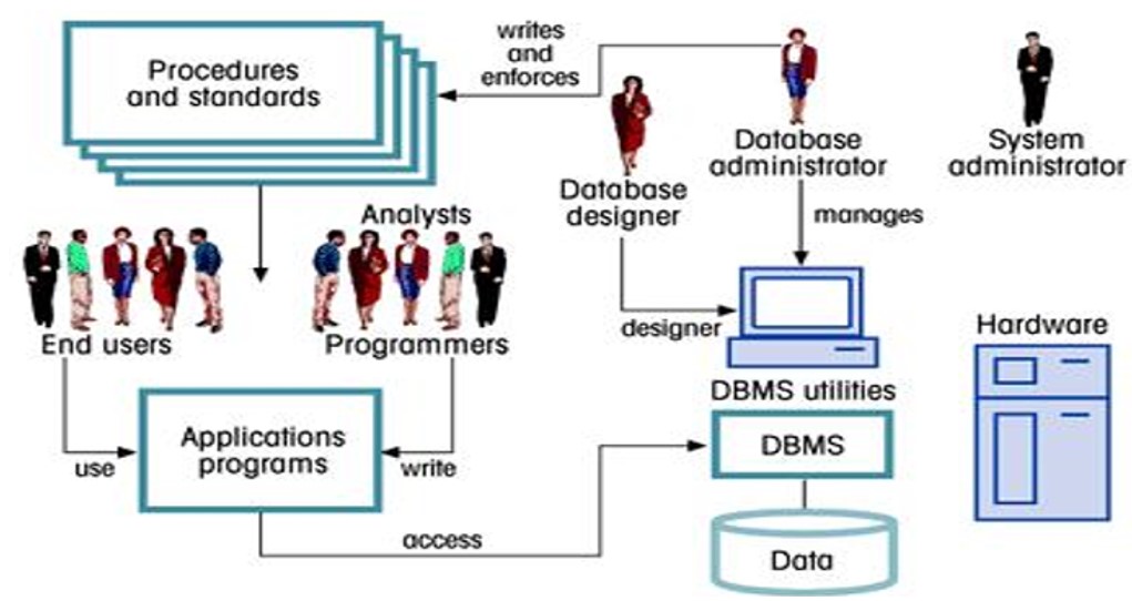 Lingkungan Sistem Basis Data